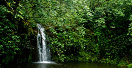 Maui Waterfalls