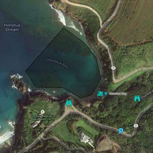 Honolua Bay Google Map Image