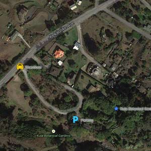 Kula Botanical Gardens Google Map Image